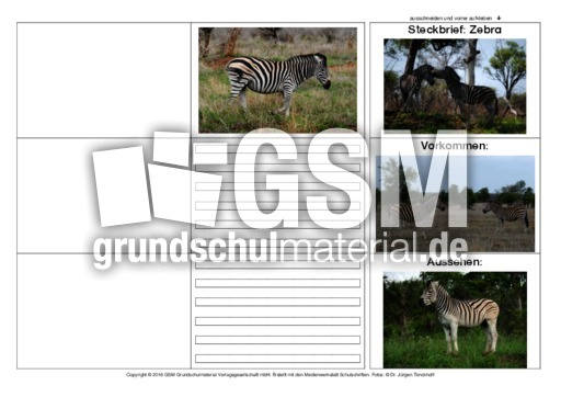 Flip-Flap-Zebra-1.pdf